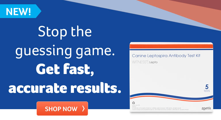 Quick Buy Program For Tagged Pets Code